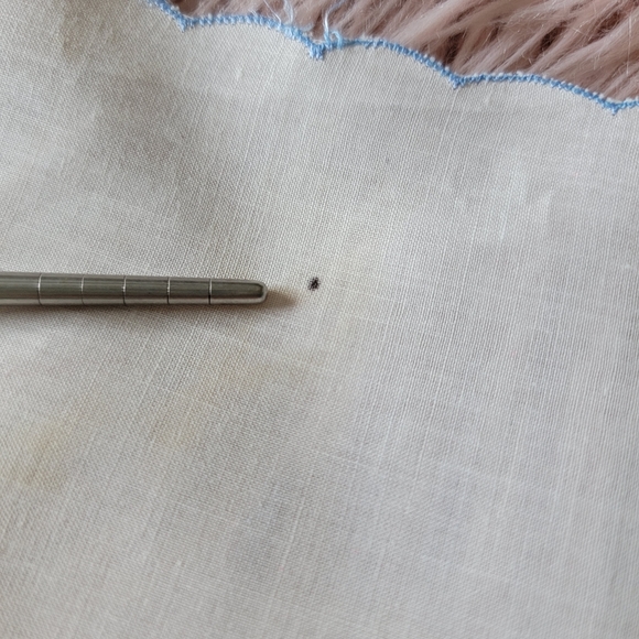 Lot of 5 Vintage Handkerchiefs - Picture 11 of 13